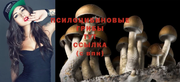 молекула духа Аркадак