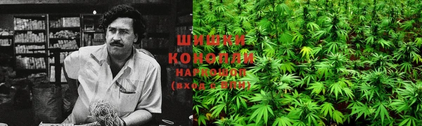 молекула духа Аркадак