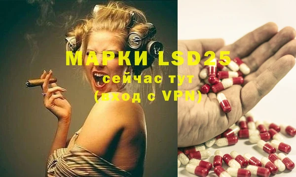 молекула духа Аркадак