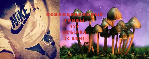 молекула духа Аркадак