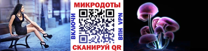 Галлюциногенные грибы Magic Shrooms  магазин продажи наркотиков  Чаплыгин 